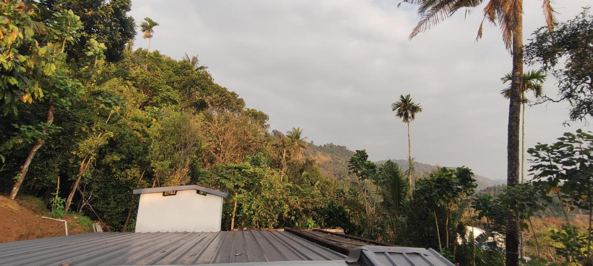 Koonamparayil Home Stay Munnar Anaviratty-Family Only Extérieur photo