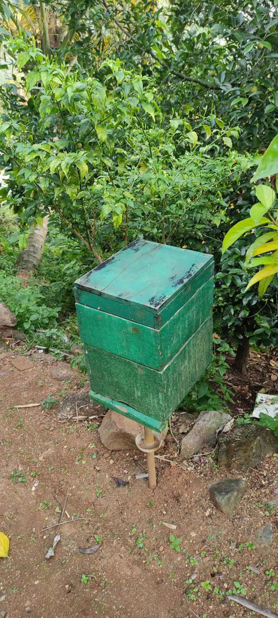Koonamparayil Home Stay Munnar Anaviratty-Family Only Extérieur photo