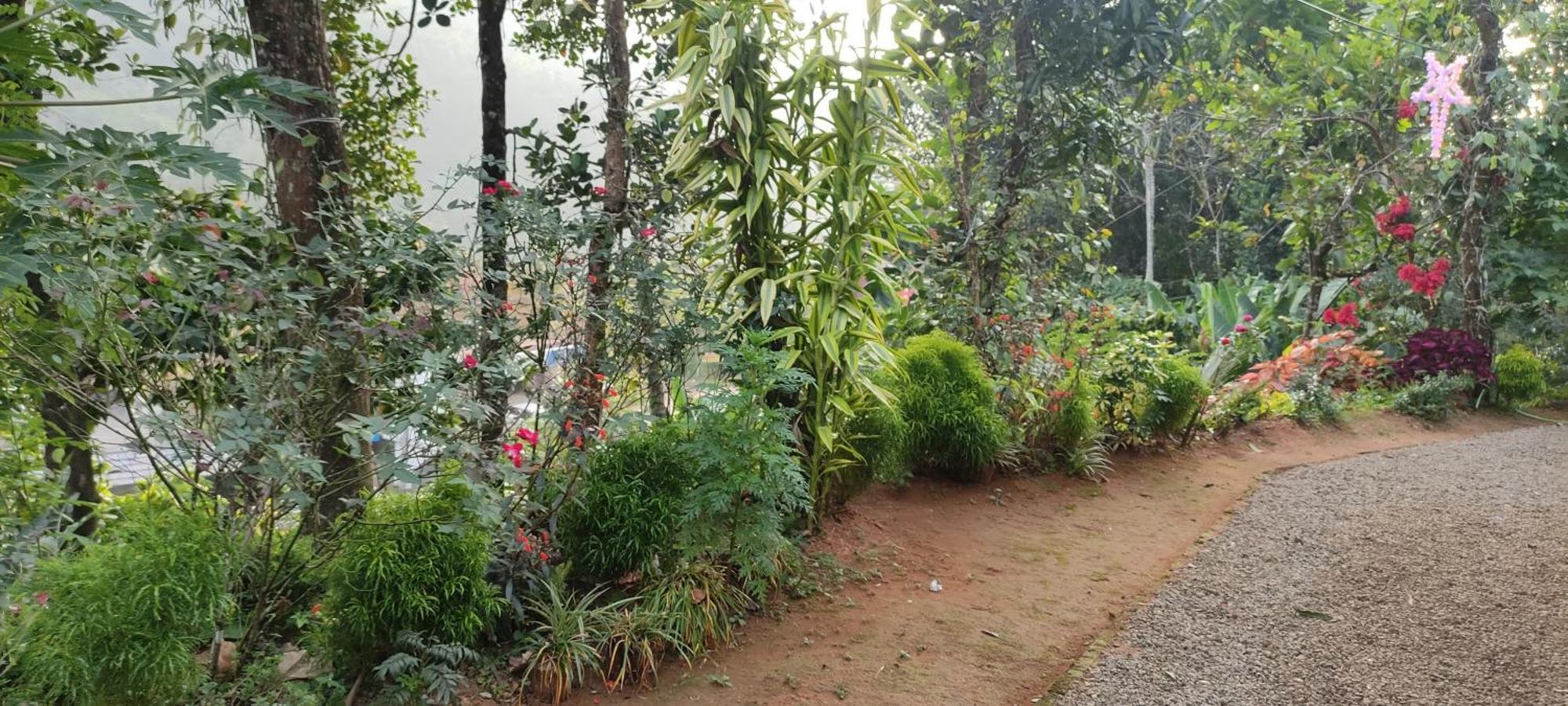 Koonamparayil Home Stay Munnar Anaviratty-Family Only Extérieur photo